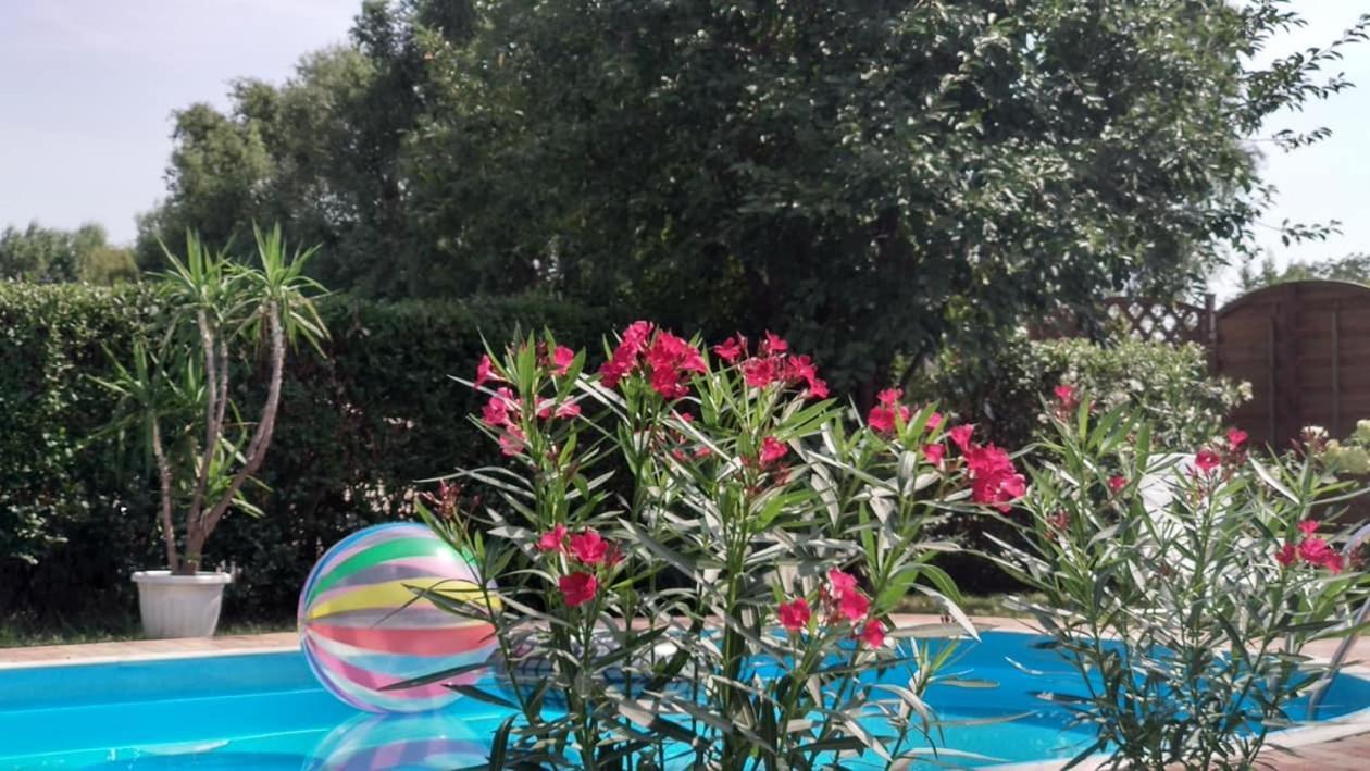 Leander Apartman Balatonlelle Dış mekan fotoğraf