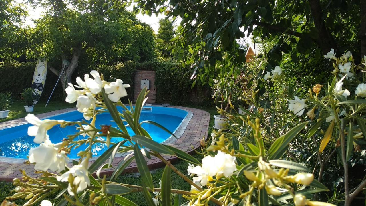 Leander Apartman Balatonlelle Dış mekan fotoğraf
